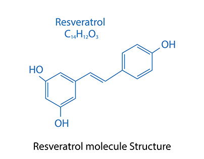 Resveratrol molecule skeletal formula.