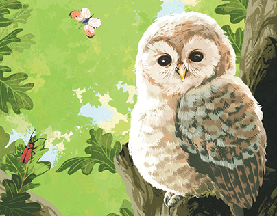 Amazing animal tales - Baby owl
