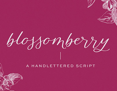 Blossomberry Modern Calligraphy Font