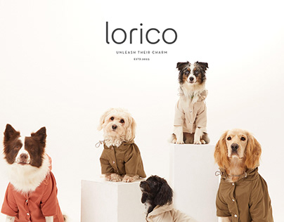Lorico / Branding Design
