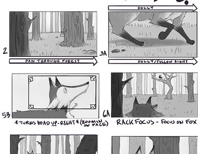 Storyboard- Aesop's Fable: Fox and Crow