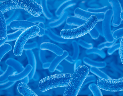 Bacteria Illustration. Ilustración de bacteria.