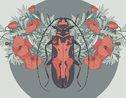 beetle and poppy