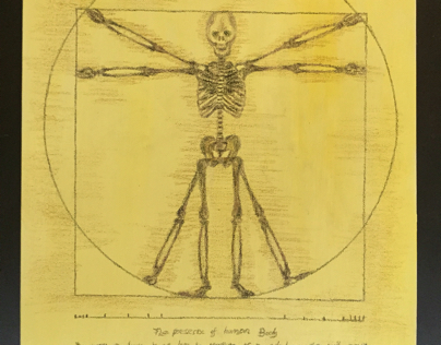 Skelecton of Uomo vitruviano