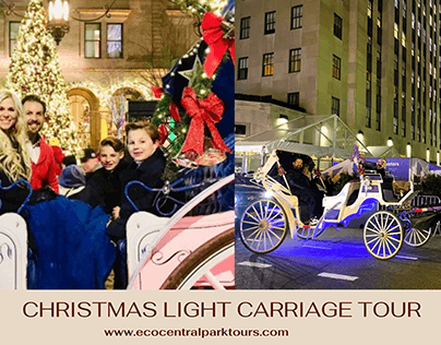 Book Central Park Christmas Lights Carriage Ride