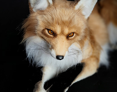 Fox [Stuffed toy]