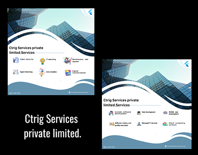 Ctrig Services private limited