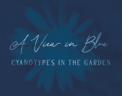 A View In Blue: Cyanotypes in the Garden