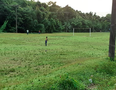 A Green Field