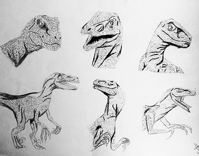 Ilustração dinossauros.