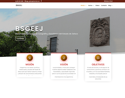 Sitio web BSGEEJ