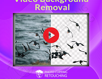 Video Background Removal Service