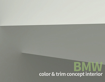 Interior, Colour and Trim Concept