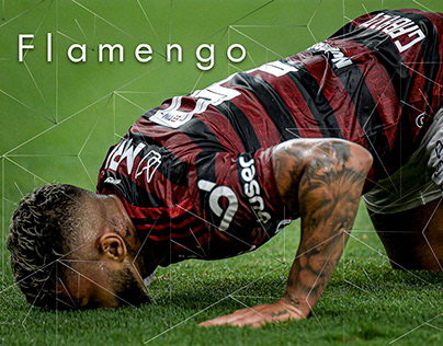 Social Media - Flamengo