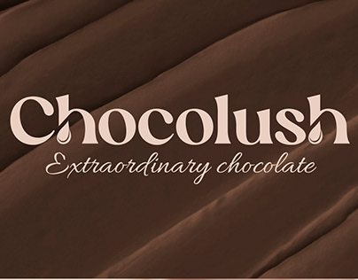 Logo ︳Brand identity Extraordinary Chocolate