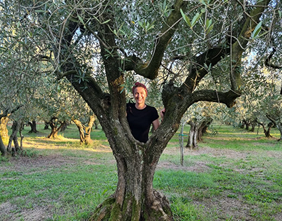 My Olive Tree Meditation