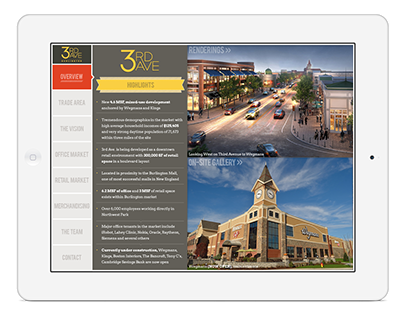 3rd Ave Retail Leasing Kit (eBook/Interactive PDF)