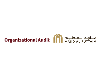 Organizational Audit