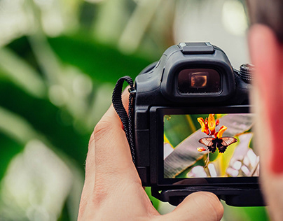 Tips For Great Springtime Photography