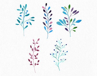 watercolor floral elements collection vector