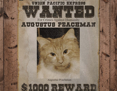 The Wanted Poster of Augustus Peachman