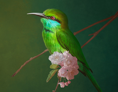 PORTRAIT OF A BEE EATER