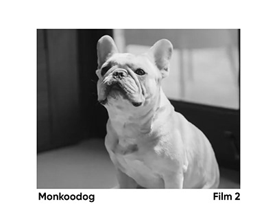 Monkoodog - Digital ad - 01