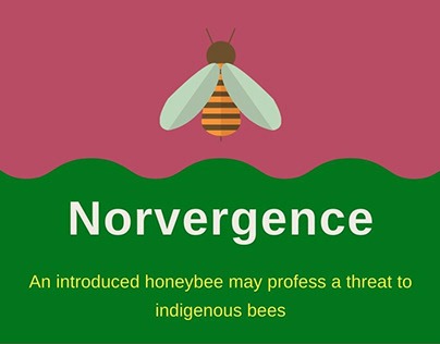 Honeybee may profess a threat to indigenous bees