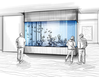 Fish Tank Decorations for Your Aquarium Installation