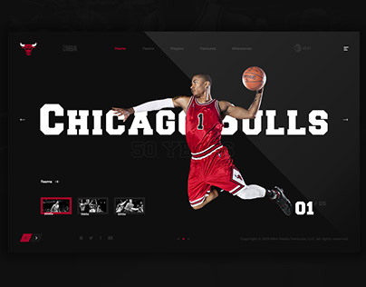 Chicago Bulls (History)