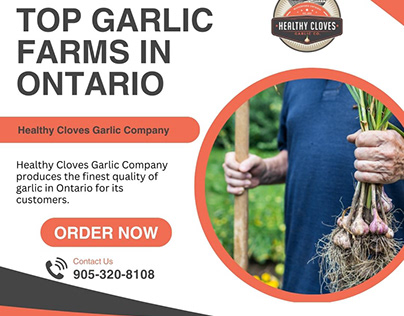Healthy Cloves Garlic Company | Garlic Farms in Ontario