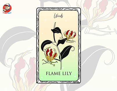 Here comes the Botanical Tarot - Lily Frame