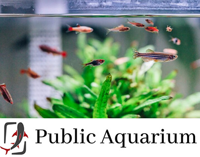 Red_Fin: Enchanting Public Aquariums for All