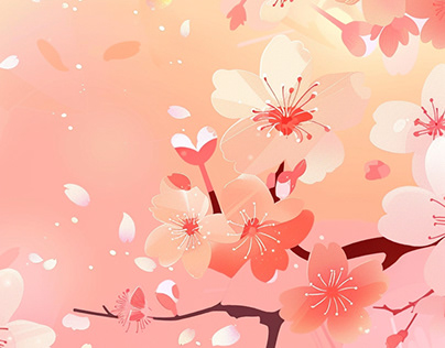 Cherry Blossoms Falling