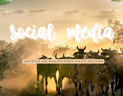 Social media - Ração para gado bovino