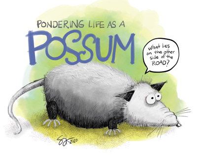 Possum logic