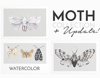 -40% MOTH watercolor butterflies