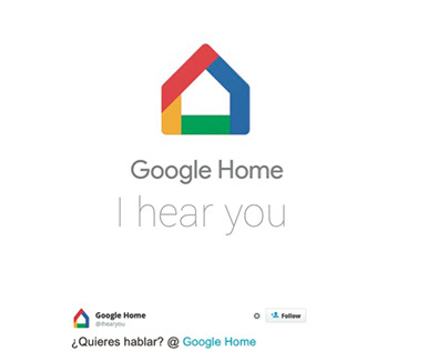 Google Home Project