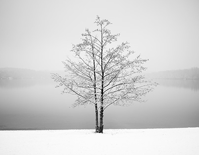 Winter by the Lake