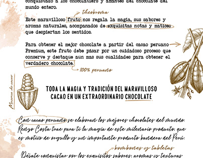 Renzo Costa - Museo del Cacao