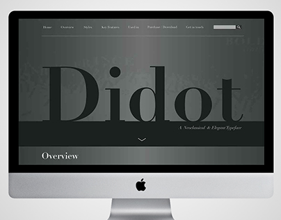 Webpage Design for Typeface Didot