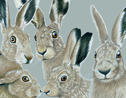 William Morris hares