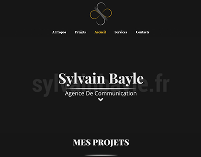 Sylvain Bayle - Agence De Communication