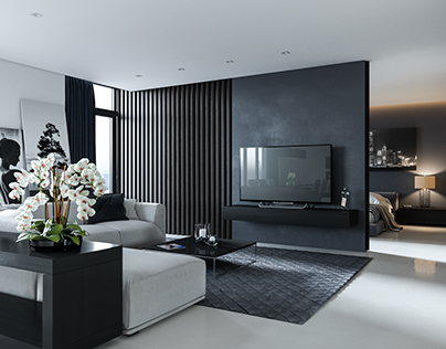 Modern style apartment