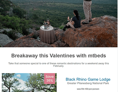 Project thumbnail - mtbeds valentines email marketing