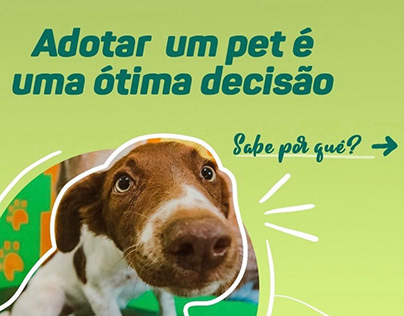Campanha de adoção AME Animal | Prefeitura de Caruaru