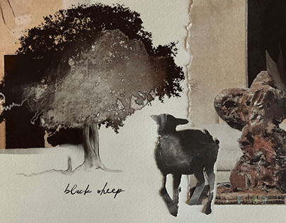 Black Sheep | Album Cover