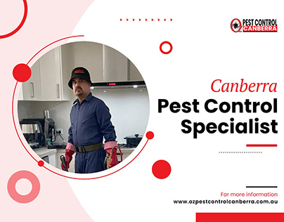 Canberra Pest Control Specialist