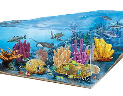 Coral reef, white shark habitat