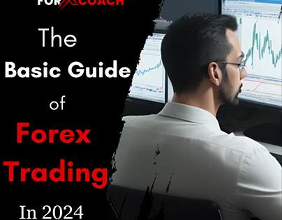 The Basic Guide of Forex Trading in 2024